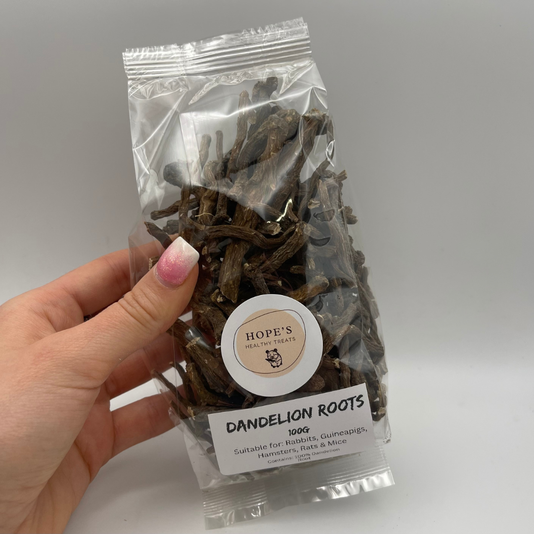 Dandelion Roots