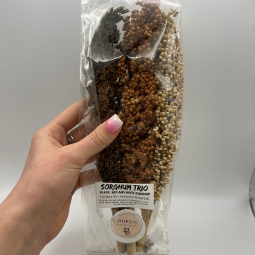 Sorghum Trio