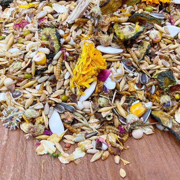 Mixerama Syrian Seed Mix