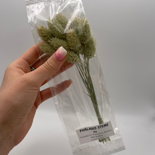 Phalaris Sprays