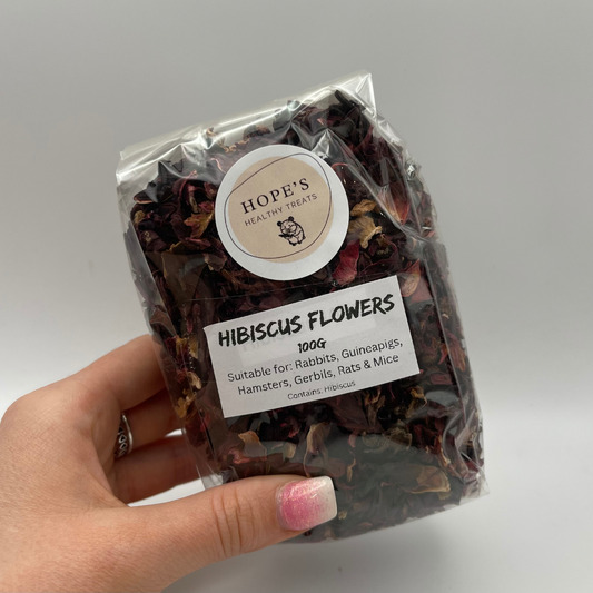 Hibiscus Flowers